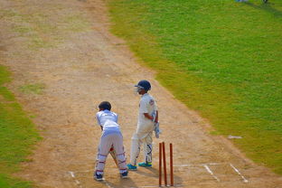 开云体育在线入口-青年运动员成长环境不断优化,青年运动员怎样进行营养补充