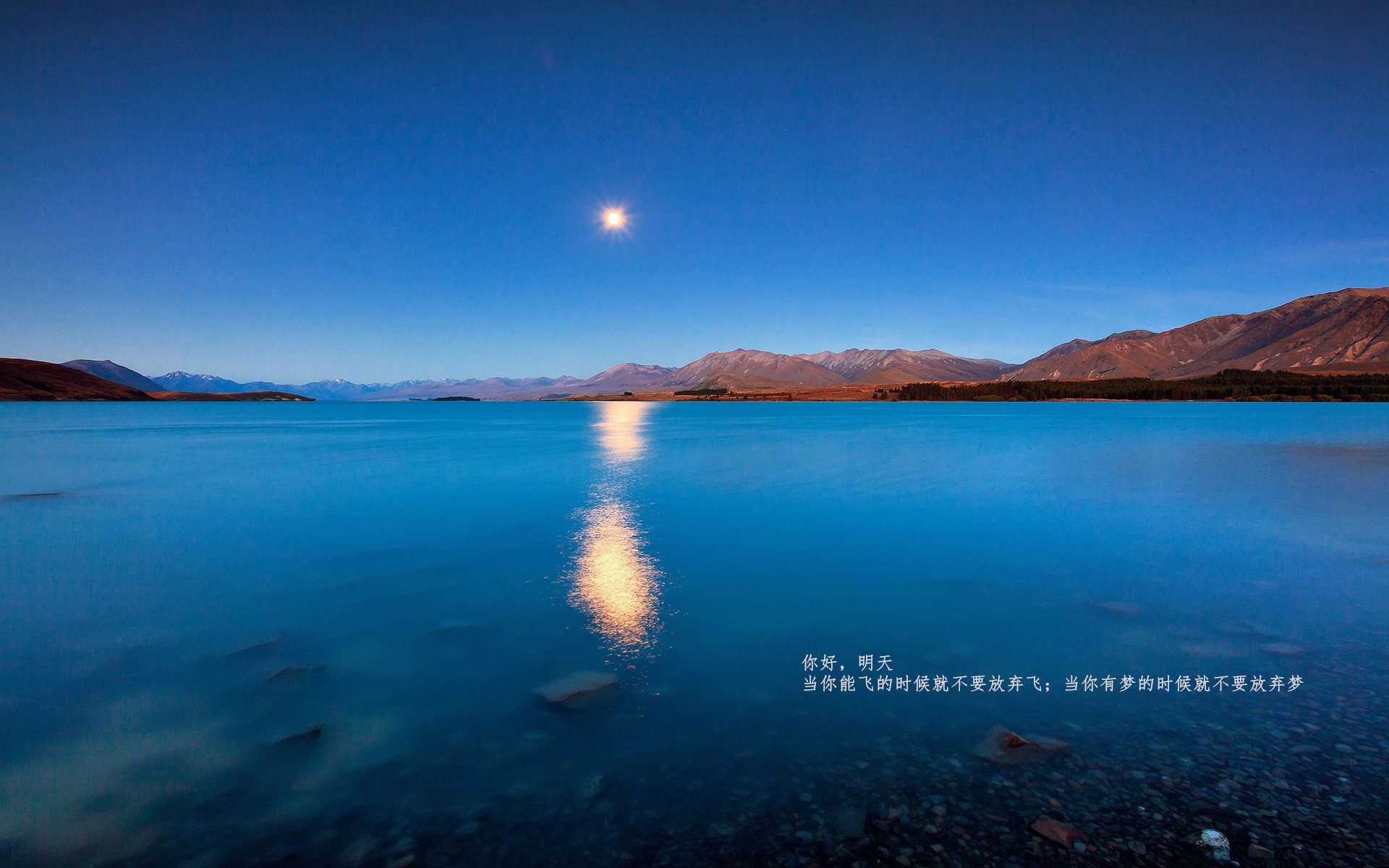 开云体育官网下载-青少年选手流动机制不健全,流动青少年面临的问题