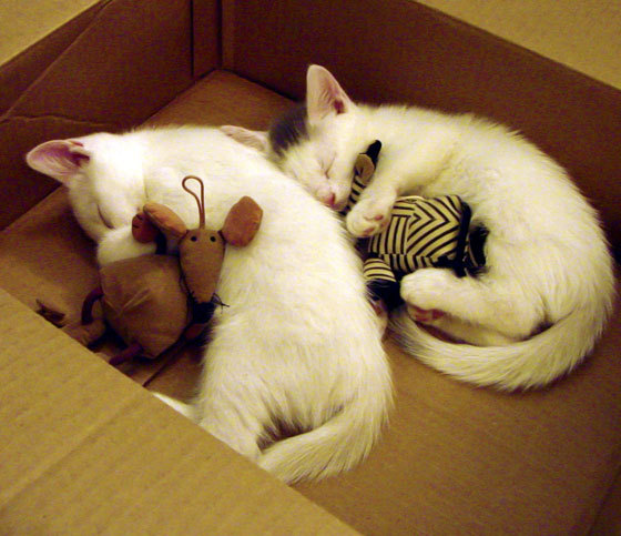 开云体育入口-马赛边后卫插上助攻带来破局之力,马赛对标