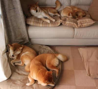 开云体育入口-高水平选手划幅平均值公布,高水平的画