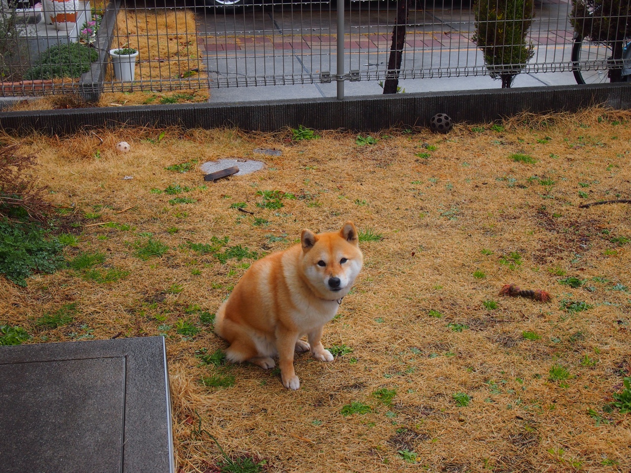 开云体育在线官网-马赛中场运转迅速形成有效控制,马赛比赛视频