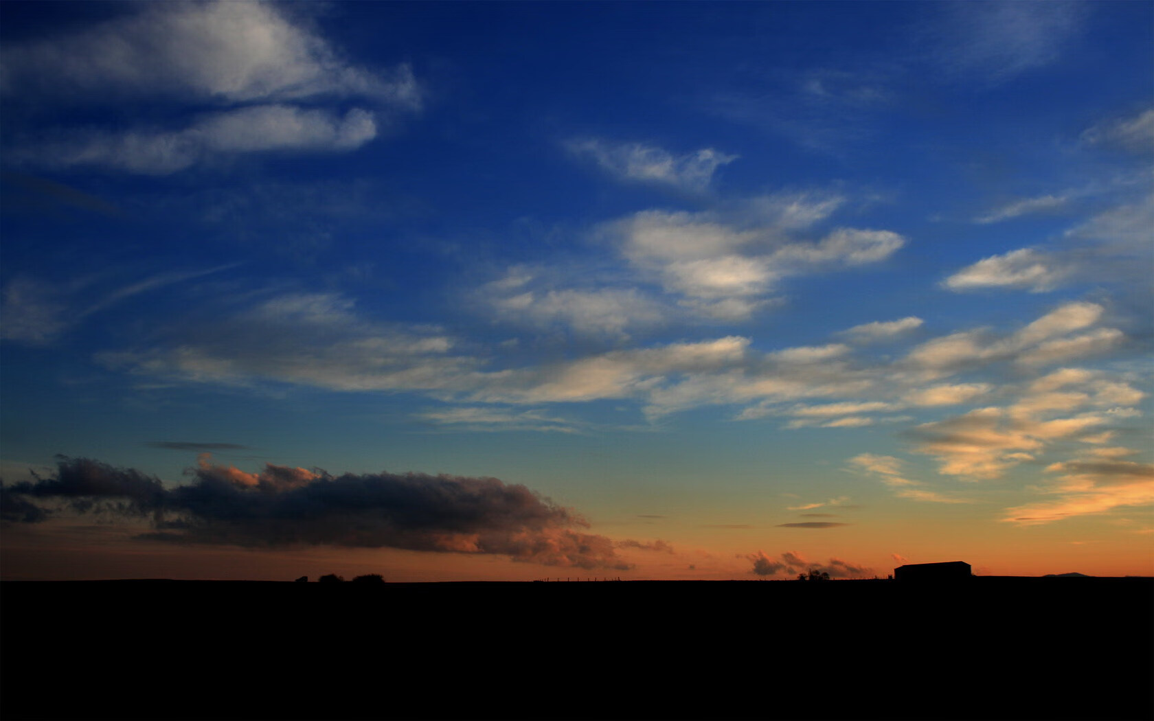 kaiyun网址-青年运动员转型路径多样化探索,青年运动员标准