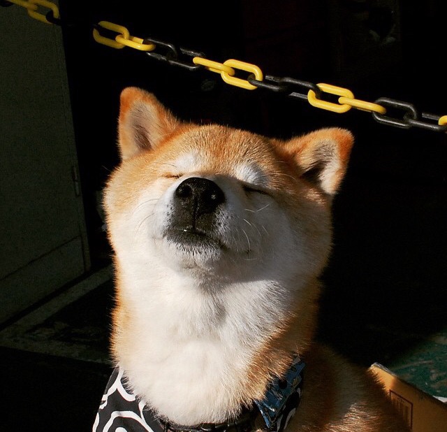 开云体育app入口-青训教练考核机制不科学,教练员岗前培训和考核