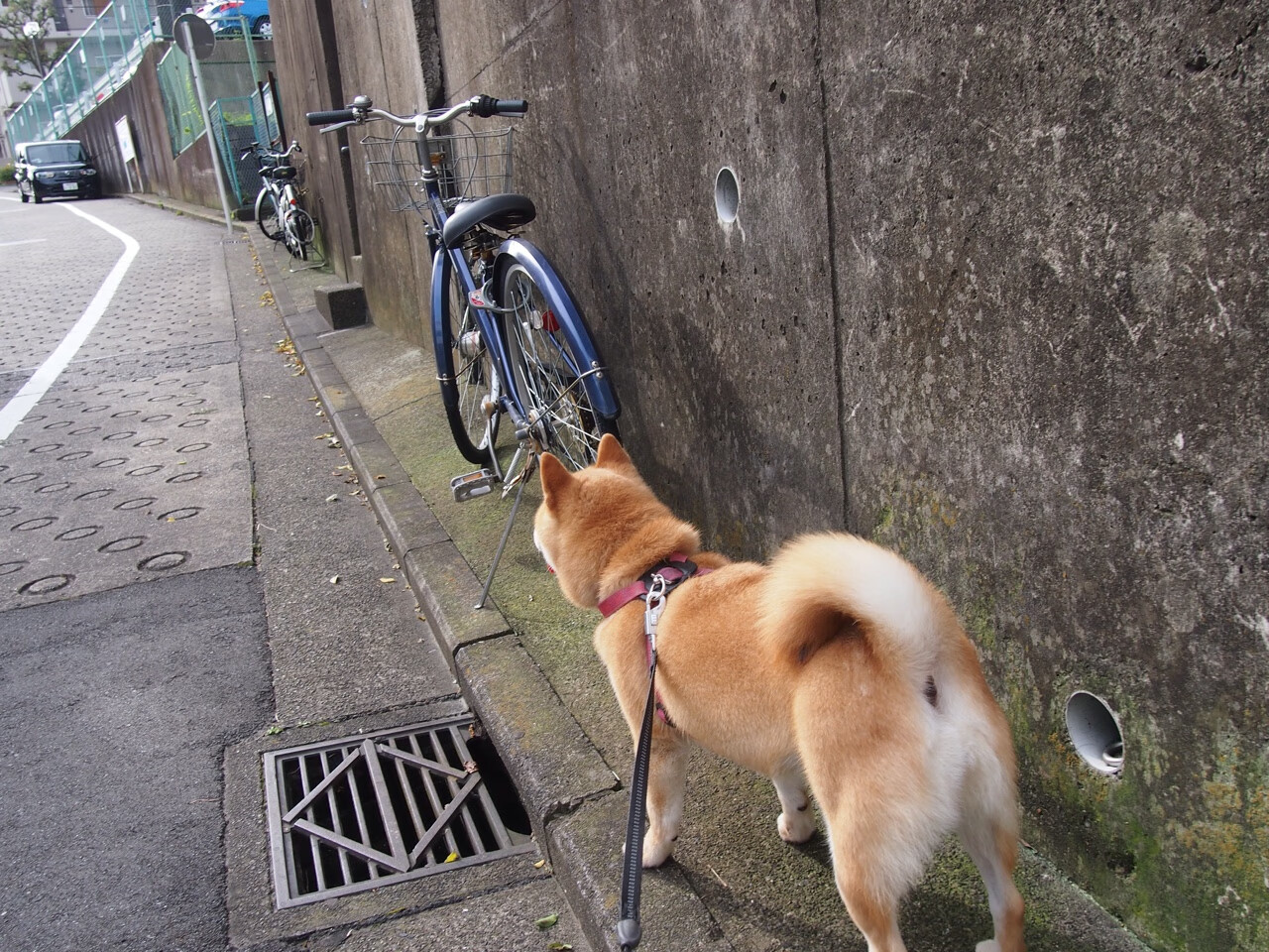 开云体育官网app-高压转换防守中的失误处理技巧,高压转换防守中的失误处理技巧有哪些