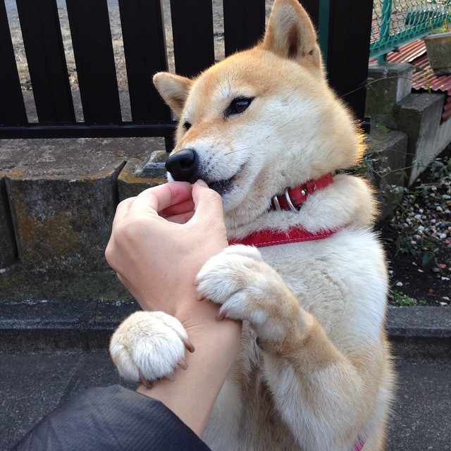 开云体育官网app-高压转换防守中的失误处理技巧,高压转换防守中的失误处理技巧有哪些