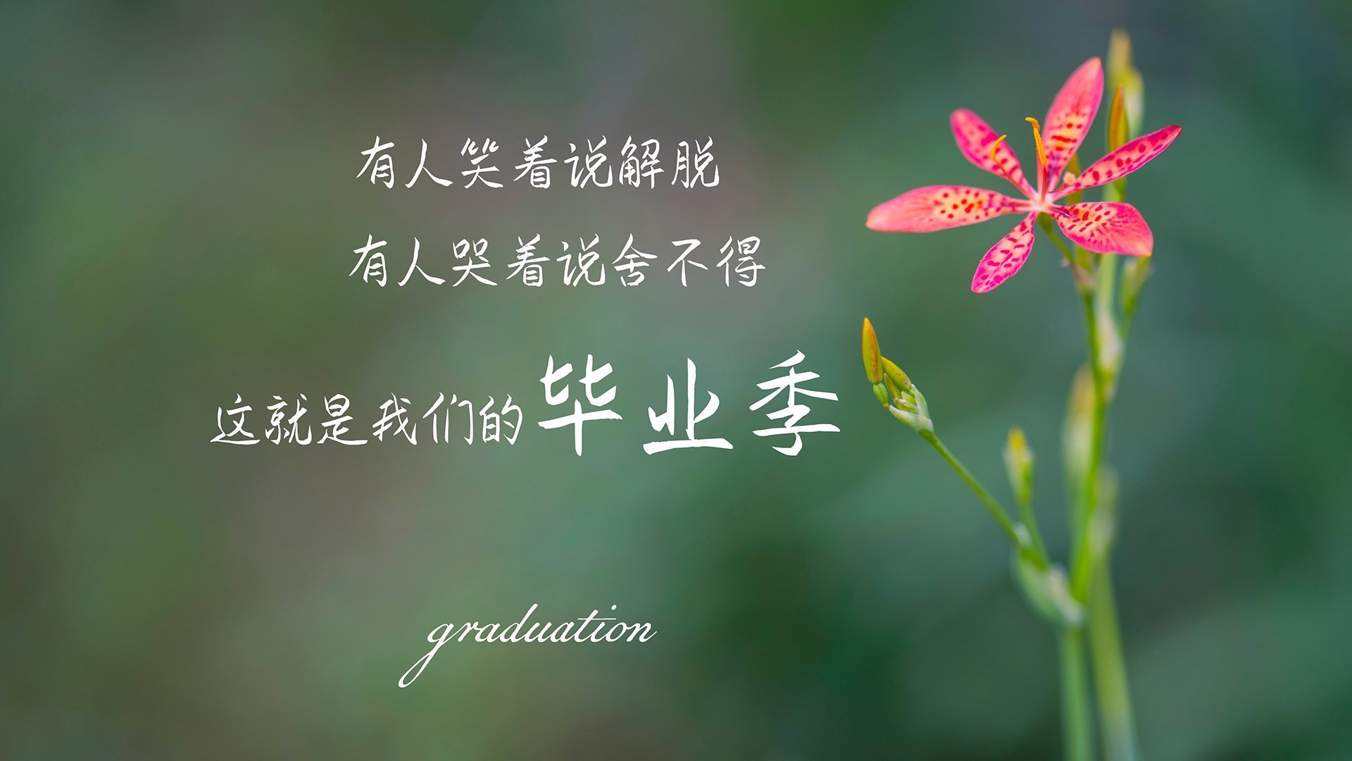 开运体育电脑版-青训选拔更注重综合素质打造全面型球员,青训体系