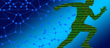 开云官方网-高校定向越野运动进入课程体系,定向越野课程简介