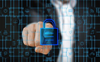 开云在线登入-马术运动进校园课程体系初步建立,马术走进校园合作方案