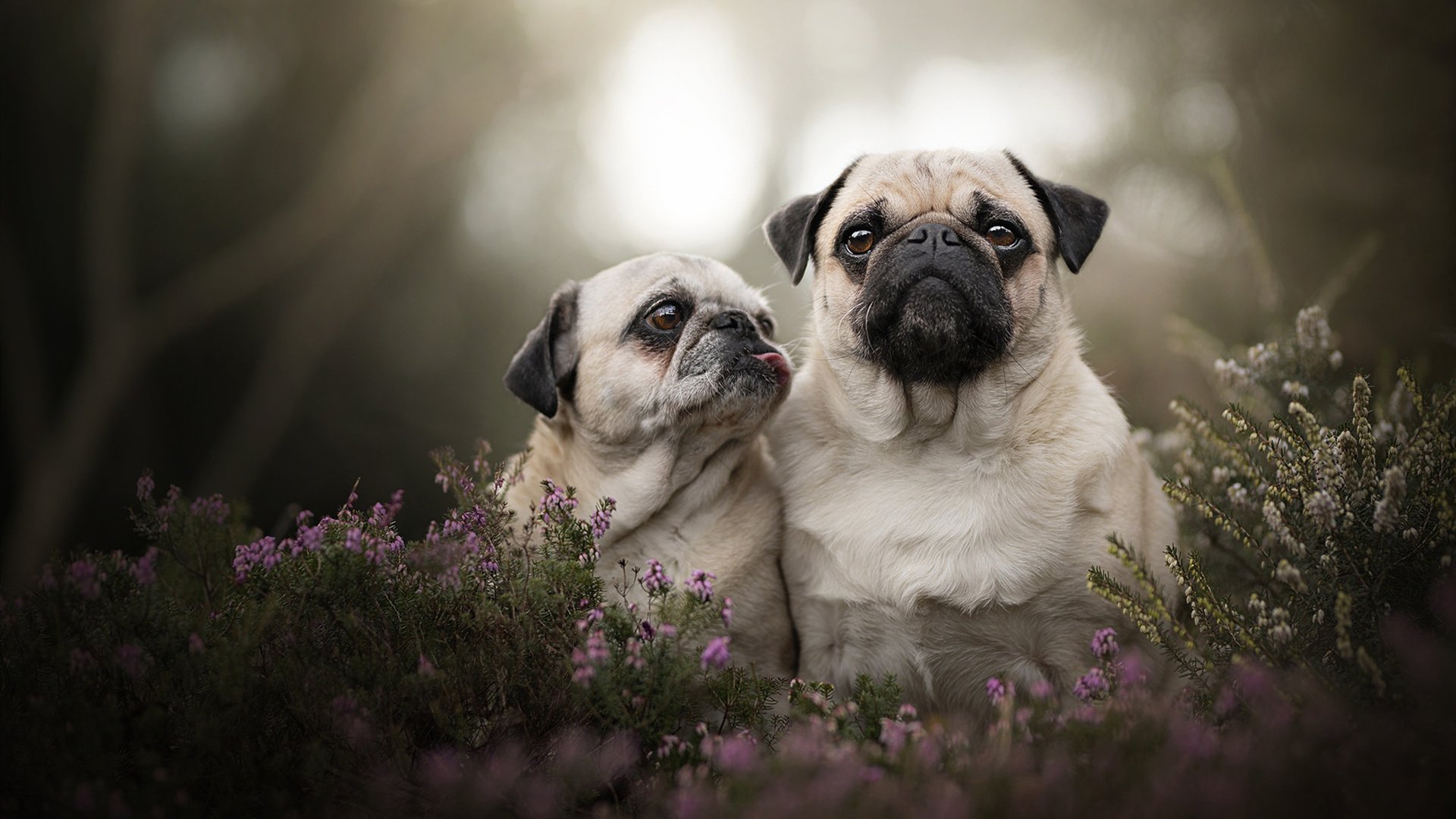 开云体育登录-NBA交易窗口詹姆斯留队确认,nba交易窗口詹姆斯留队确认了吗