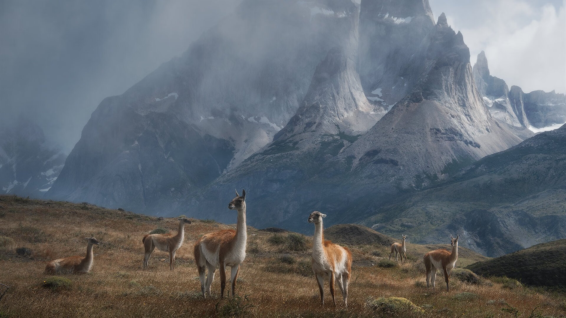 开云在线登入-CBA俱乐部推动球迷志愿者计划增强社区联系,cba志愿者一般做什么