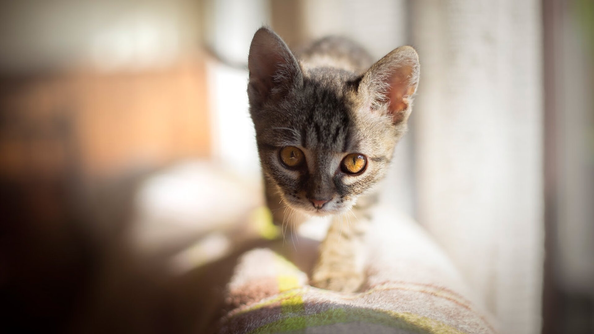 开云体育官网登入-C罗社交平台感谢球迷支持不离不弃,c罗社交账号是多少