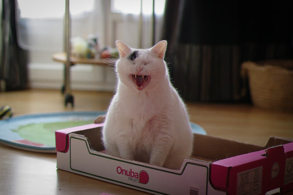 开云体育在线官网-CBA 联盟官方解读新赛季交易规则草案，cba交易汇总最新2021