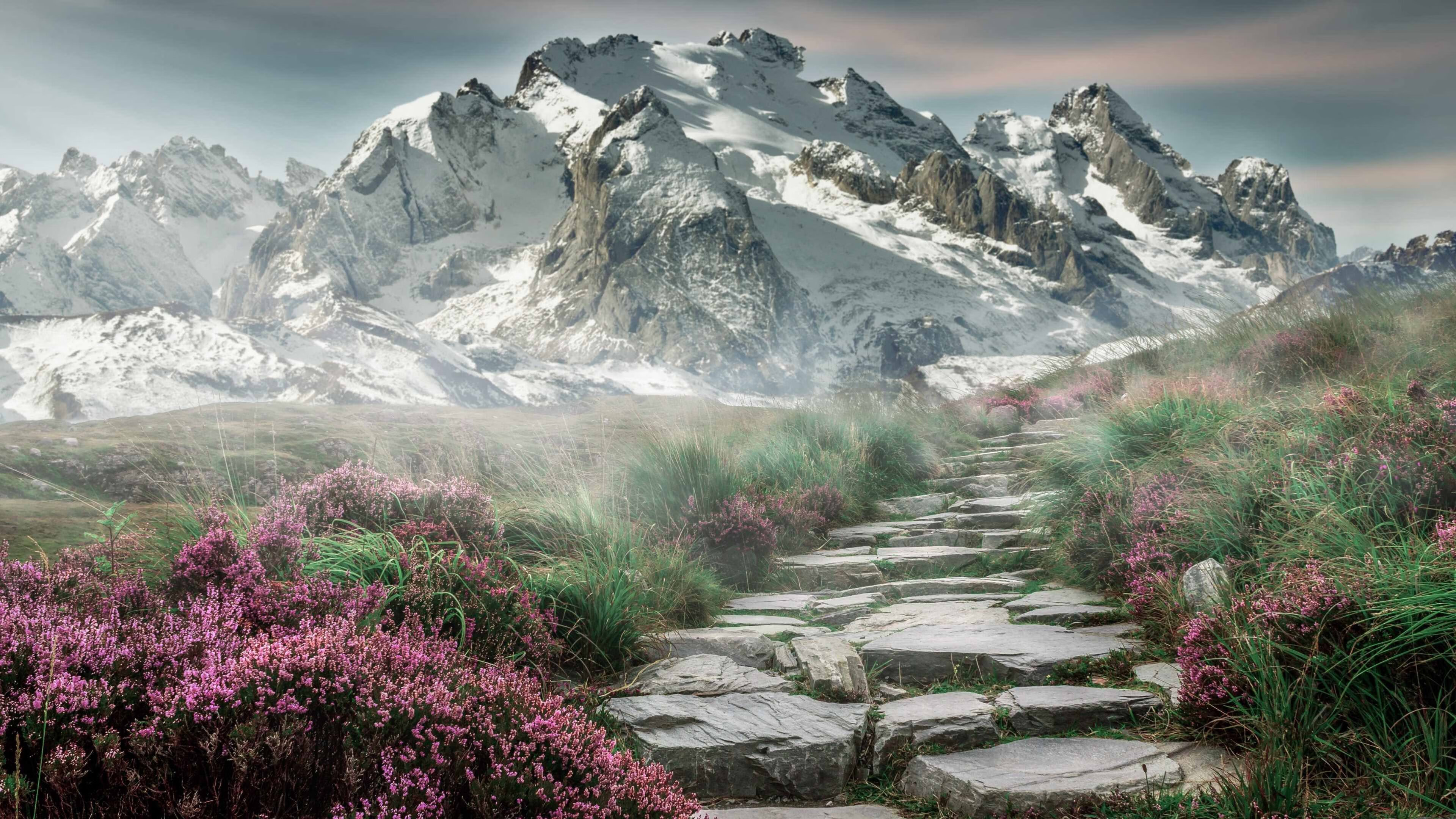 开云体育足球-“帕布罗·马特拉:阿根廷美洲狮队的灵魂人物,领导美洲狮队打破瓶颈”