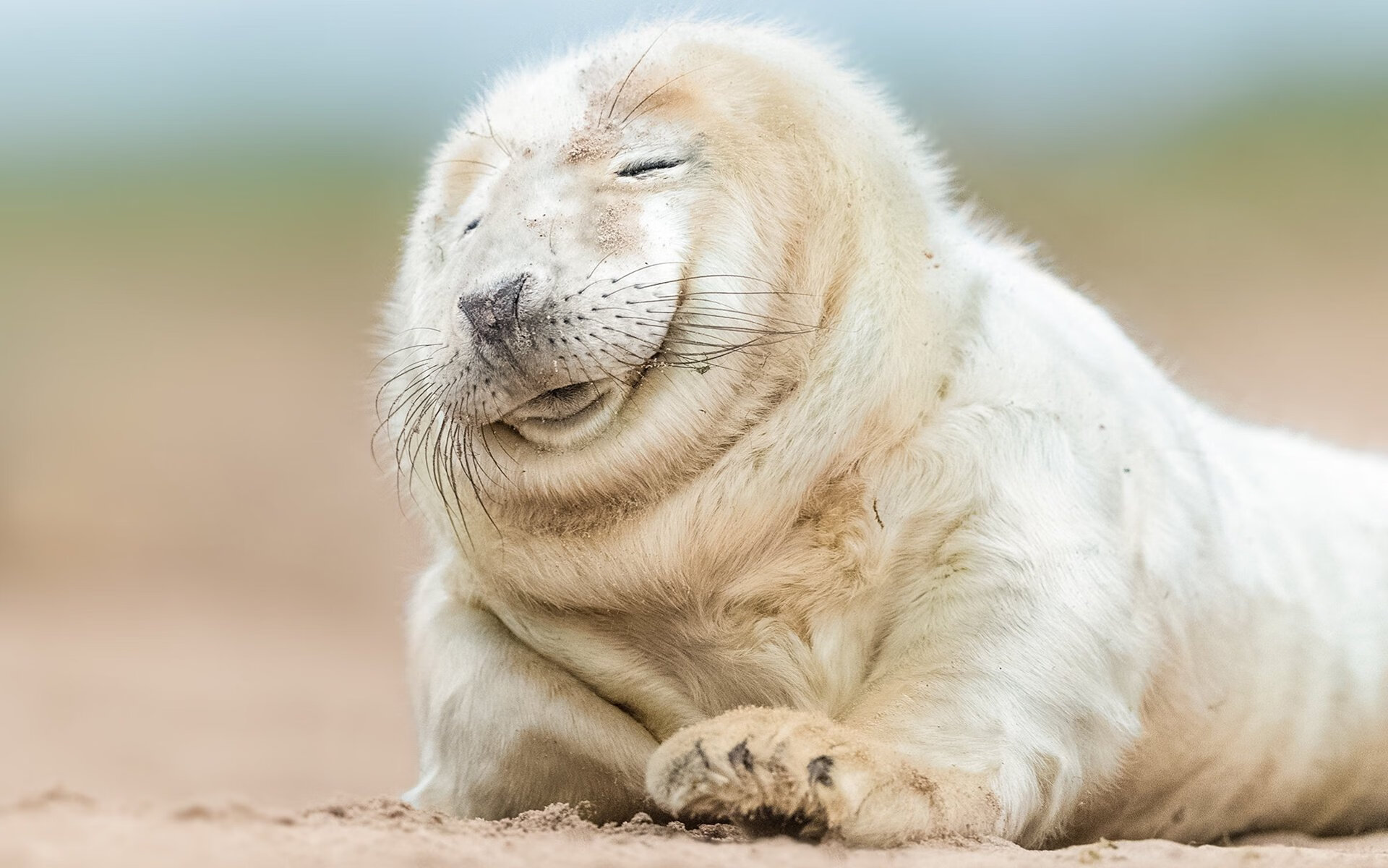 开云在线登入-“马科斯·莫奇的精准防守与快速反击,成就美洲狮队的坚固防线”