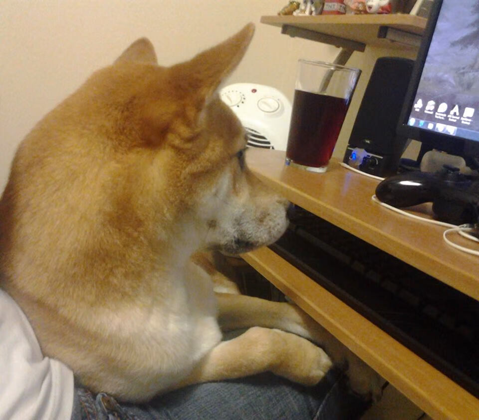 开云体育登录入口-世界杯四强对决:战术谋略的终极较量,理解世界杯四强