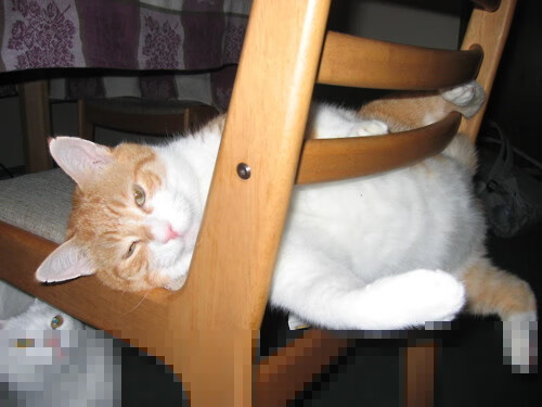 开yun官网-“马科斯·莫奇的灵活防守与精准传球，助力阿根廷美洲狮队更具攻击性”