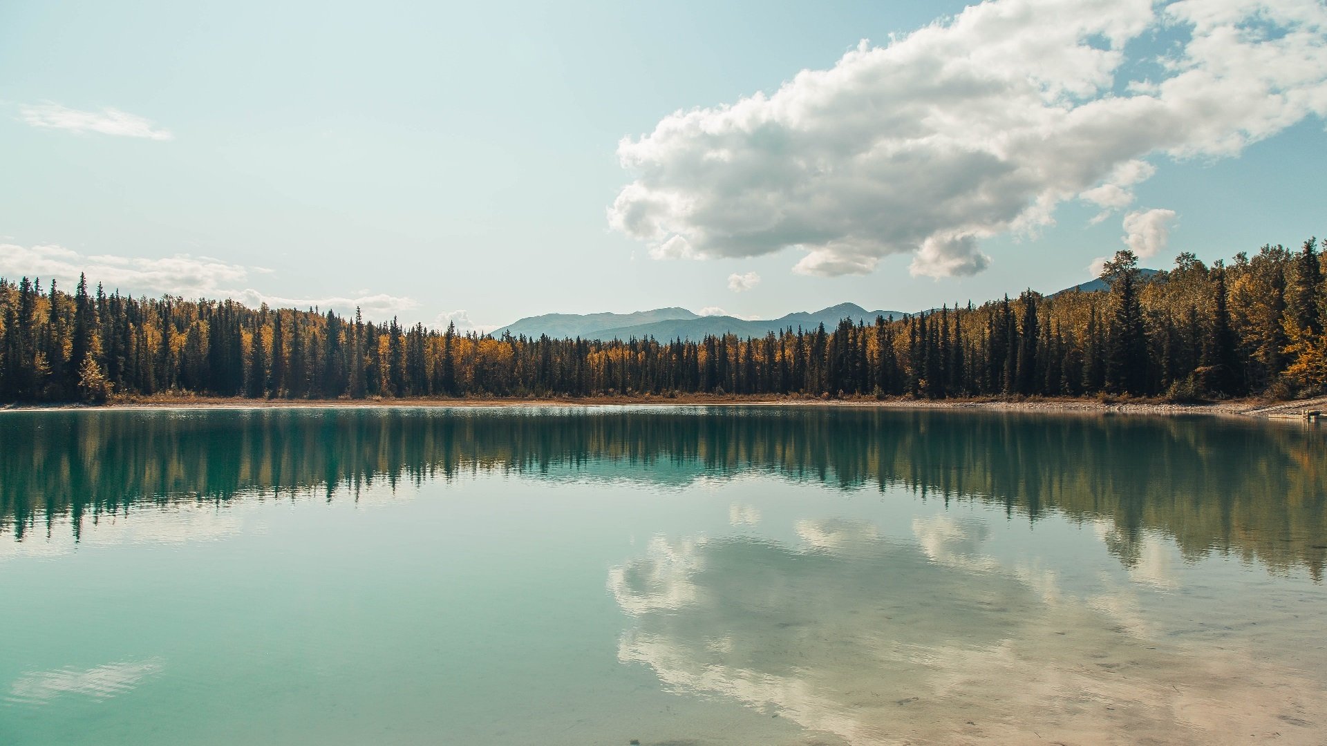 开云在线登入-东契奇谈减少失误是未来进步关键,东契奇的未来