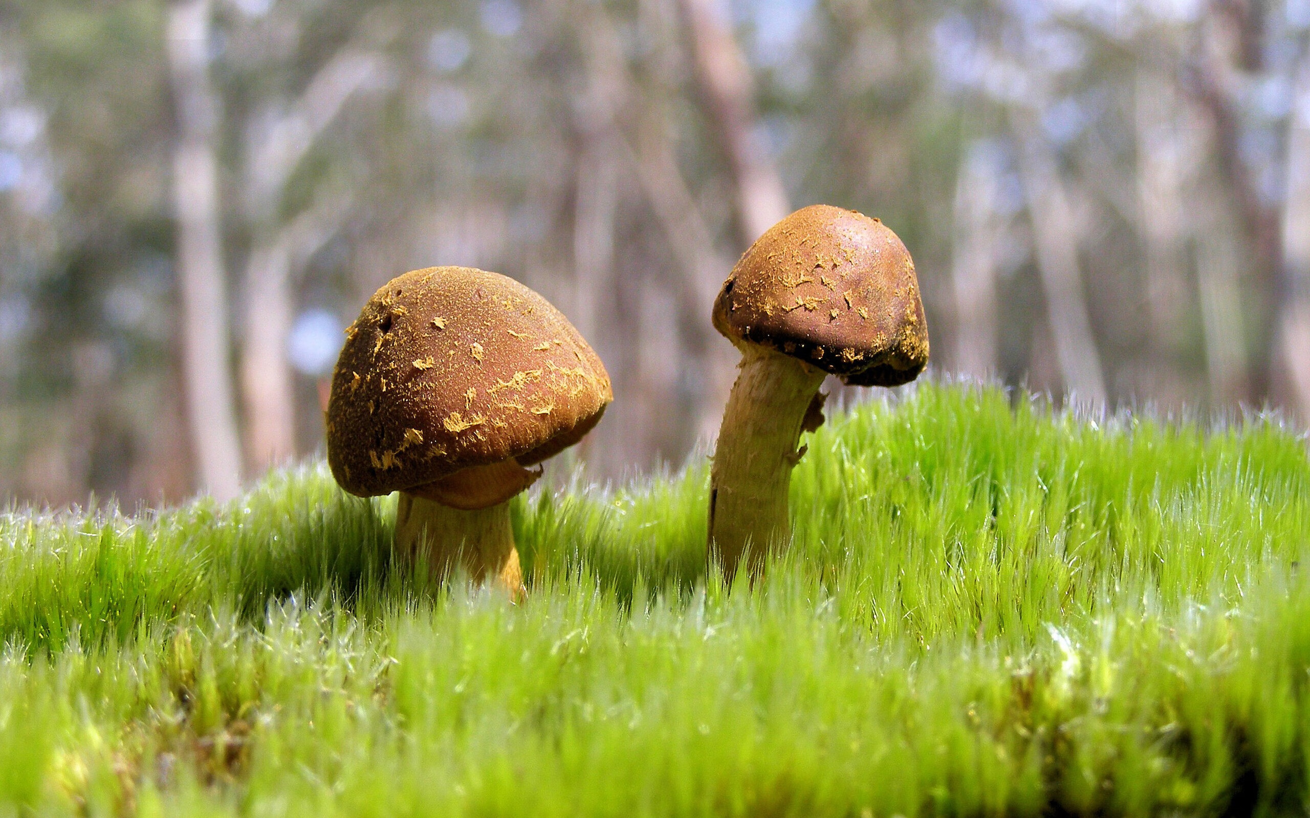 开云体育入口-世界杯精彩集锦:每一瞬都令人心跳加速!,世界杯经典镜头