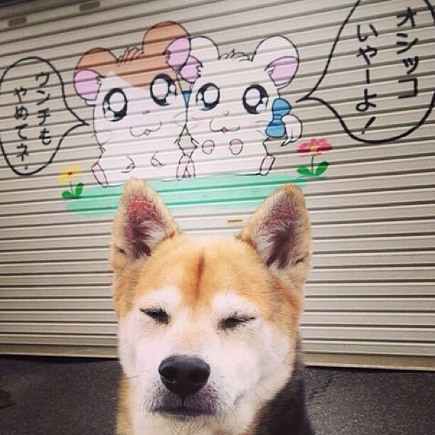 开云体育app官网-世界杯豪门盛宴:激情、实力、奇迹!,豪门盛宴世界杯回顾