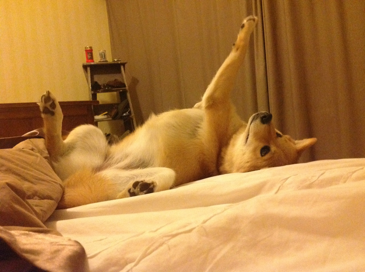 开云体育在线登入-中国组合李亚杰与程子龙表现稳健夺目，李亚杰是谁