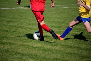 开云体育app入口-中国足球俱乐部与国际知名足球学院合作，中国足球俱乐部和国家队