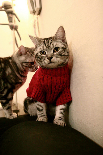 开云体育在线下载-中国足球国家队执行高海拔对抗模拟训练，国家队高原训练海拔