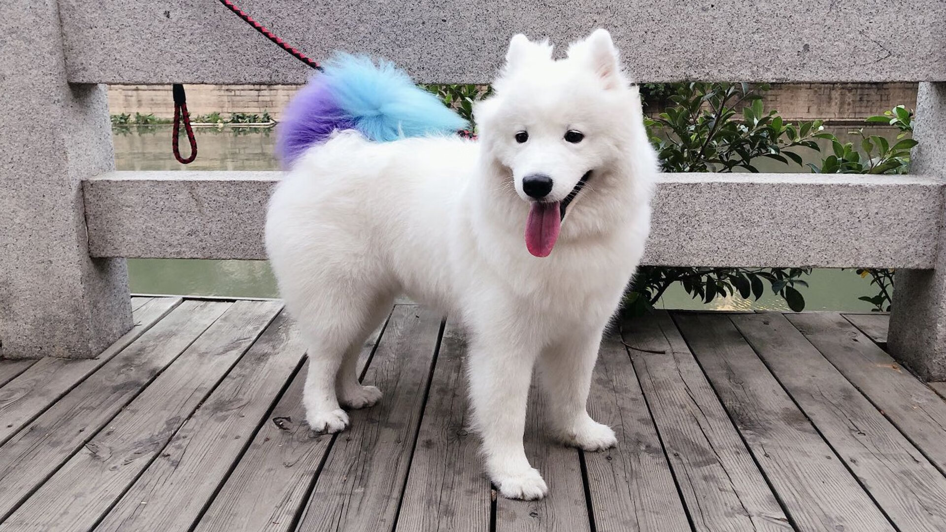 开云体育官网上-中国男篮组织战术沙盘推演提升比赛执行力,中国男篮十大经典比赛