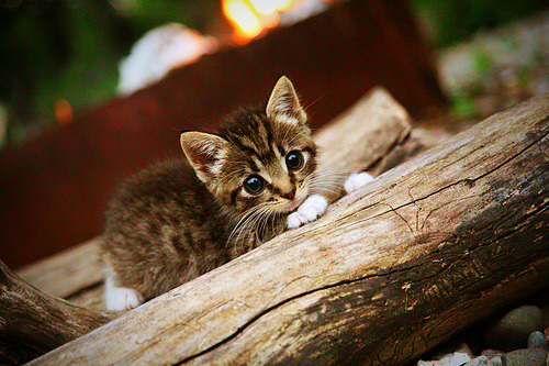 开云在线登入-中国男篮海外拉练总结会提出提升防守执行力关键策略，中国男篮训练视频