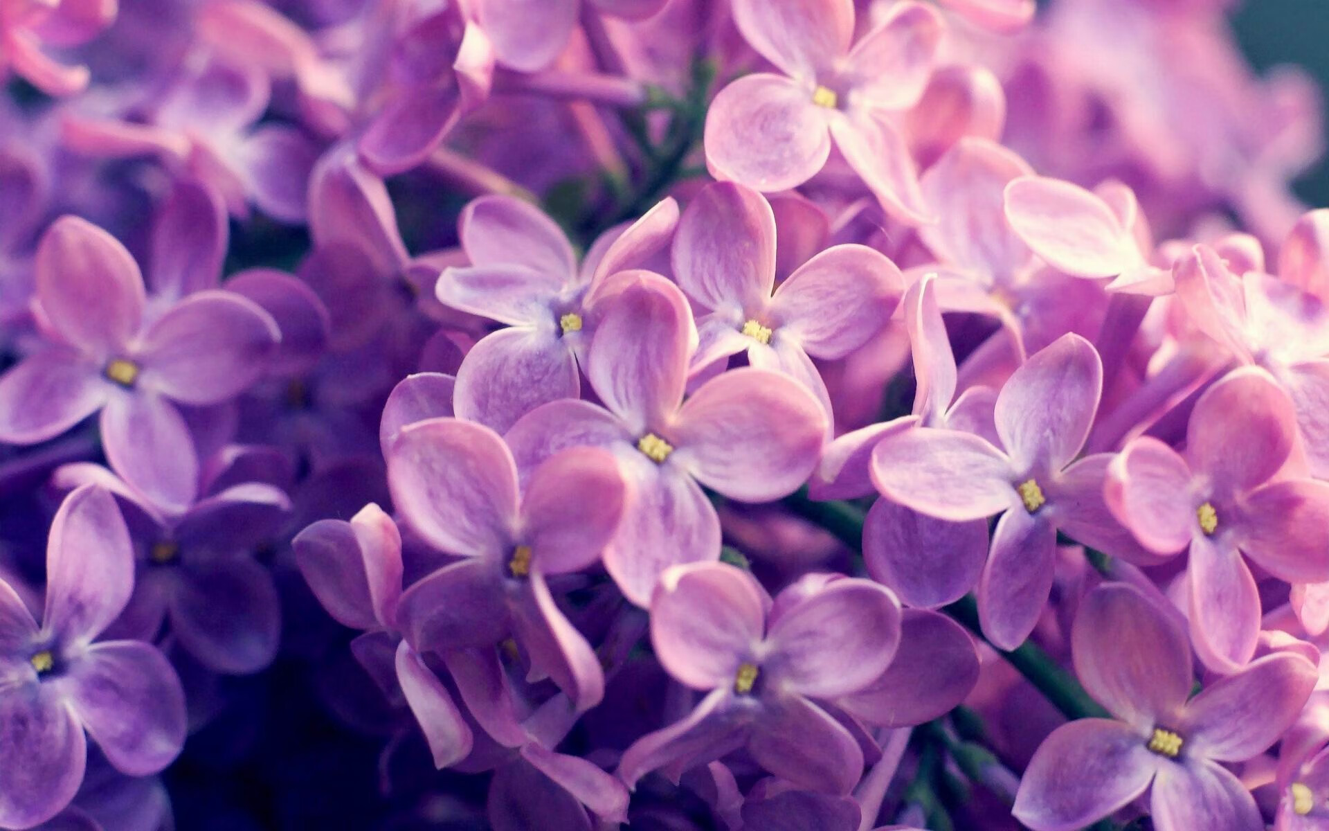 开云app-中国足球联赛致力打造全龄段足球氛围,中国足球联赛发展