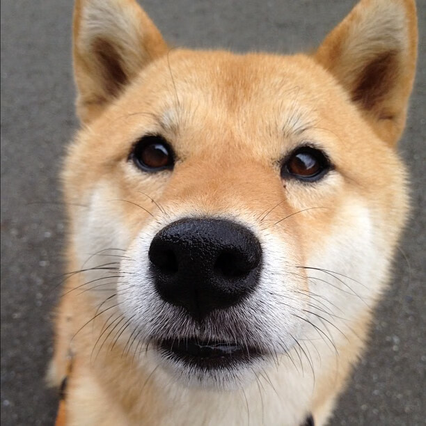 开云体育入口-中国足球职业联赛多维度分析球员表现，中国足球联赛开始走向职业化