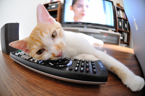 开云体育app在线-中国足球探索赛事与传统文化融合提升本土认同,中外足球文化