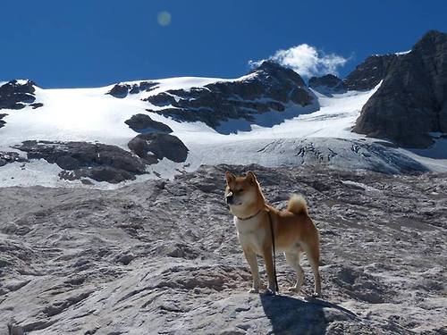 开云体育app官网-中国足球职业联赛赛事组织管理创新实践，中国足球职业联赛体系