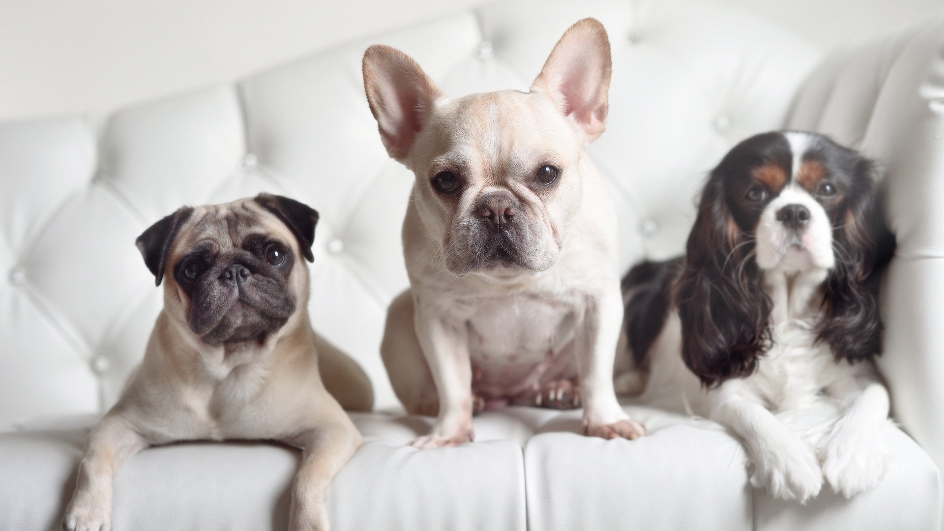 开云体育-中国足球国家队阵容深度得到有效加强，中国足球国家队队