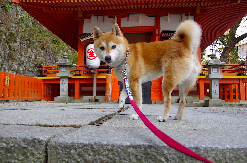 开云体育在线官网-中国足球职业联赛赛季总结会议召开,2020中国足球业余联赛
