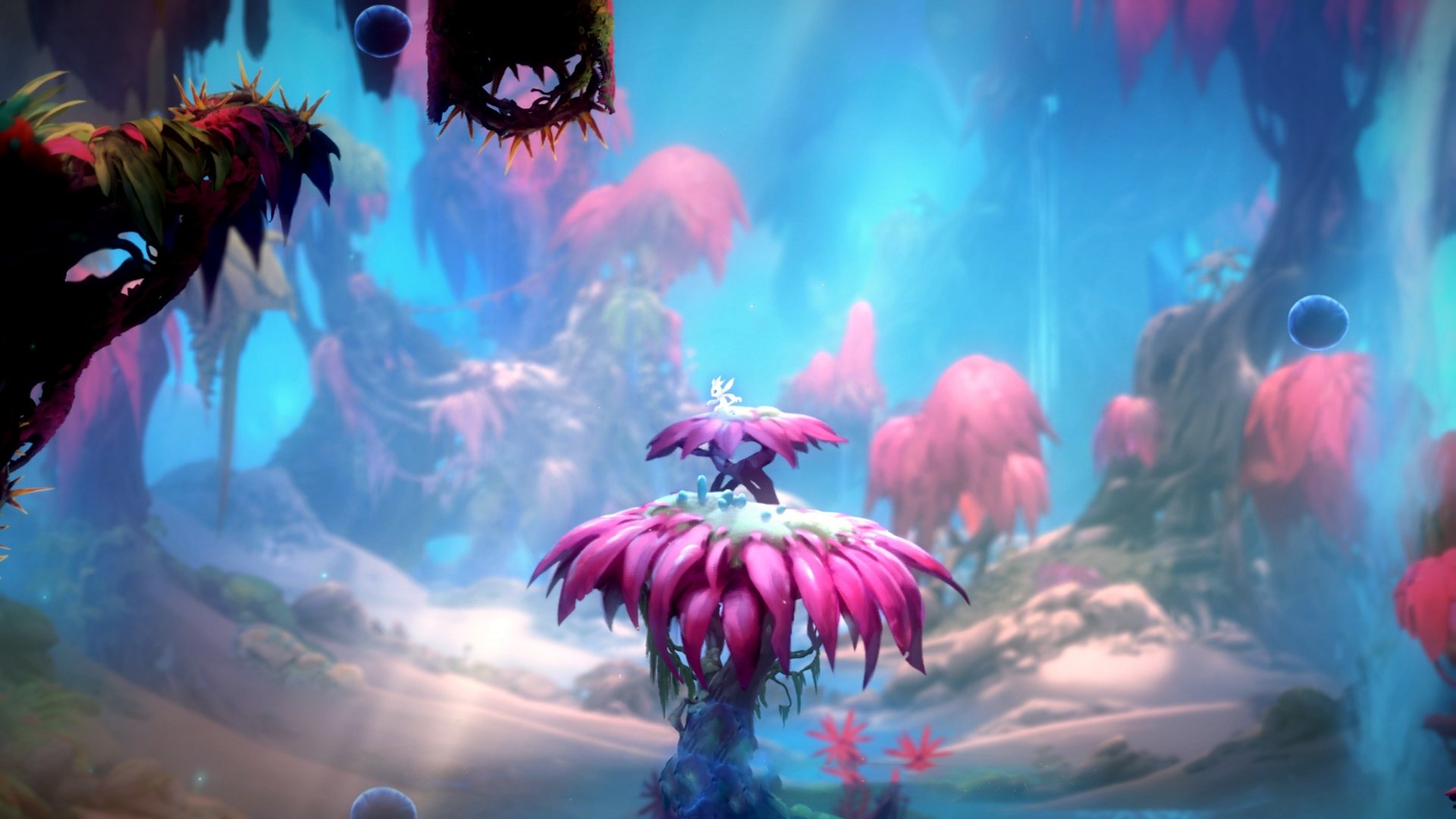 开云体育app-中国足球青少年足球冬训基地建设取得突破，全国青少年足球训练基地