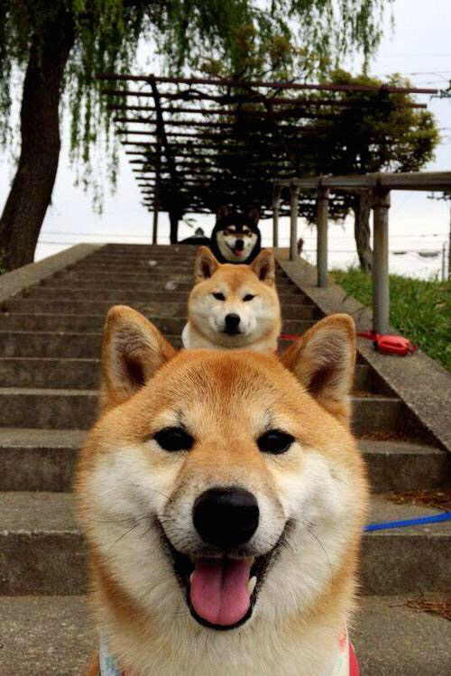 开云在线入口-中立代表队B赛后感谢团队支持，中立代表队b赛后感谢团队支持