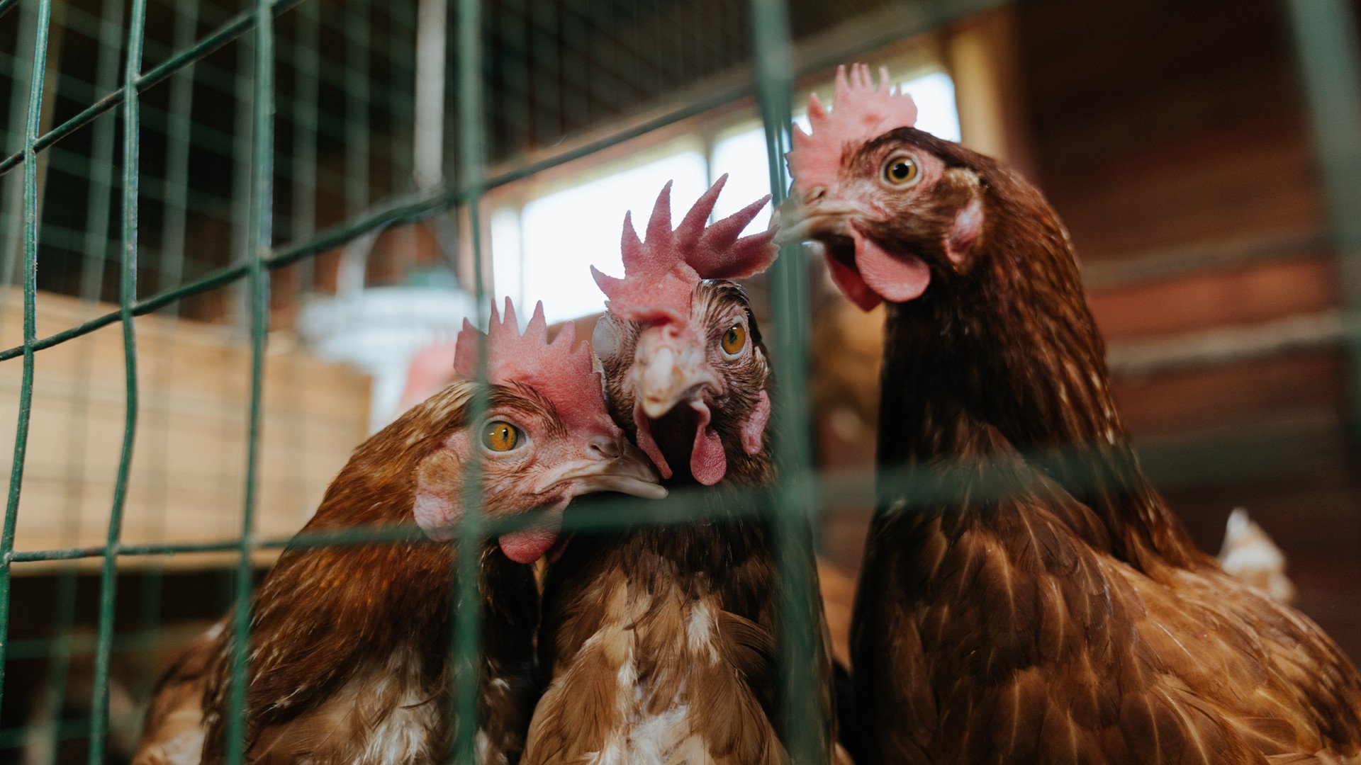 开云体育-热火锋线球员通过拉伸训练保持身体柔韧性,热火前锋