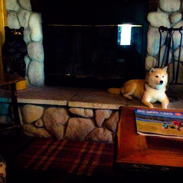 开云体育登录入口-热火联手品牌推出纪念水壶送给球迷，热火联手品牌推出纪念水壶送给球迷是真的吗